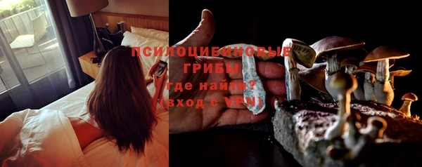 a pvp Алзамай