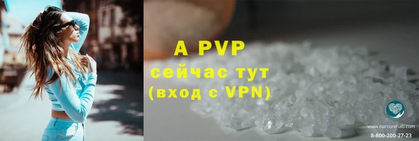 стаф Алексин