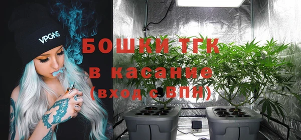 стаф Алексин