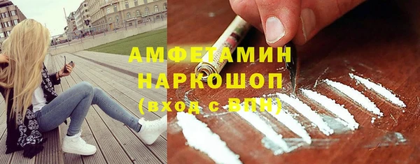 стаф Алексин