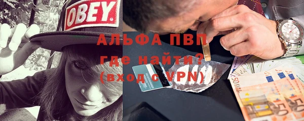 стаф Алексин