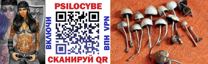 наркошоп  Жуковка  hydra ссылка  Псилоцибиновые грибы ЛСД 