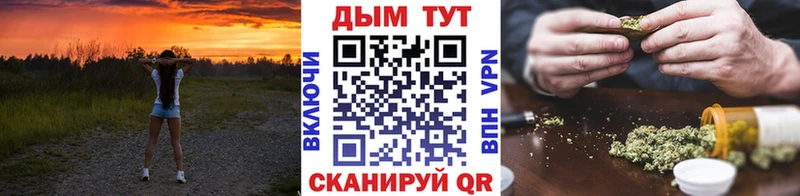 Каннабис индика  Жуковка 